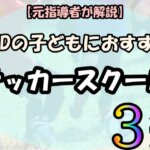 Adhdの子どもにサッカーをさせるなら知っておくこと7選 指導経験あり てんブログ